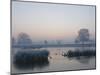 Misty Sunrise over Heron Pond, Bushy Park, London, England, United Kingdom, Europe-Stuart Hazel-Mounted Photographic Print