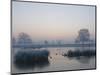 Misty Sunrise over Heron Pond, Bushy Park, London, England, United Kingdom, Europe-Stuart Hazel-Mounted Photographic Print