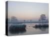 Misty Sunrise over Heron Pond, Bushy Park, London, England, United Kingdom, Europe-Stuart Hazel-Stretched Canvas