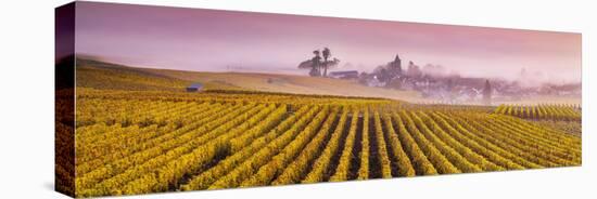 Misty Sunrise over Oger, Champagne Ardenne, France-Matteo Colombo-Stretched Canvas