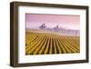 Misty Sunrise over Oger, Champagne Ardenne, France-Matteo Colombo-Framed Photographic Print