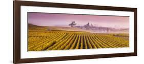 Misty Sunrise over Oger, Champagne Ardenne, France-Matteo Colombo-Framed Photographic Print