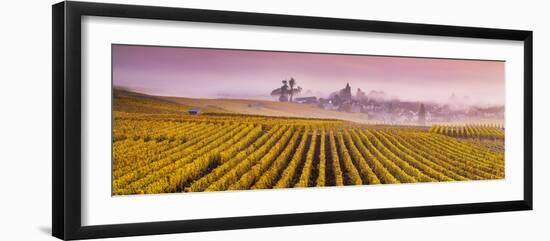 Misty Sunrise over Oger, Champagne Ardenne, France-Matteo Colombo-Framed Photographic Print