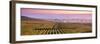 Misty Sunrise over Oger, Champagne Ardenne, France-Matteo Colombo-Framed Photographic Print