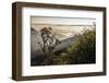 Misty Sunrise View of Mountains on the Climb Up Adam's Peak-Matthew Williams-Ellis-Framed Photographic Print