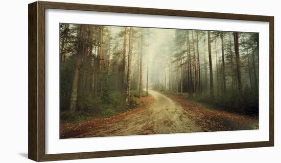 Misty Trail-Andreas Stridsberg-Framed Giclee Print