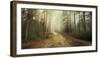 Misty Trail-Andreas Stridsberg-Framed Giclee Print