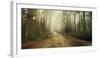 Misty Trail-Andreas Stridsberg-Framed Giclee Print