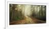 Misty Trail-Andreas Stridsberg-Framed Giclee Print