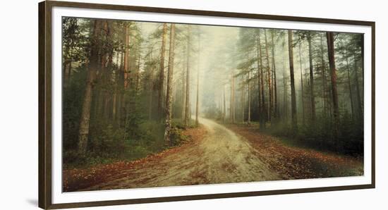 Misty Trail-Andreas Stridsberg-Framed Giclee Print