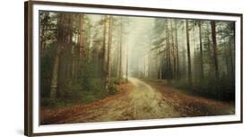 Misty Trail-Andreas Stridsberg-Framed Giclee Print