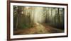 Misty Trail-Andreas Stridsberg-Framed Giclee Print