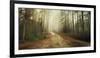 Misty Trail-Andreas Stridsberg-Framed Giclee Print