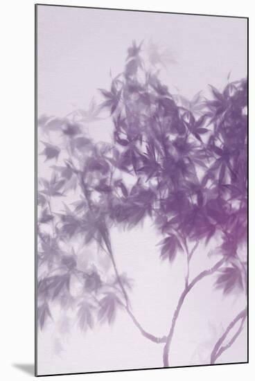 Misty Tree - Hush-Lucy Meadows-Mounted Giclee Print
