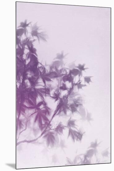 Misty Tree - Lull-Lucy Meadows-Mounted Giclee Print