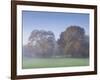 Misty Trees, Exe Valley, Devon, England, United Kingdom, Europe-Jeremy Lightfoot-Framed Photographic Print