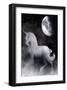 Misty Unicorn and Night Moon-null-Framed Art Print