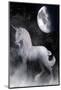 Misty Unicorn and Night Moon-null-Mounted Art Print