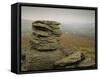 Misty View at Hound Tor, Dartmoor, South Devon, England, United Kingdom, Europe-Lee Frost-Framed Stretched Canvas