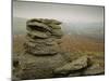 Misty View at Hound Tor, Dartmoor, South Devon, England, United Kingdom, Europe-Lee Frost-Mounted Photographic Print