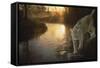 Misty Water Morn-Gordon Semmens-Framed Stretched Canvas