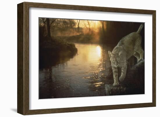 Misty Water Morn-Gordon Semmens-Framed Giclee Print