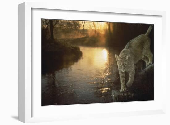 Misty Water Morn-Gordon Semmens-Framed Giclee Print