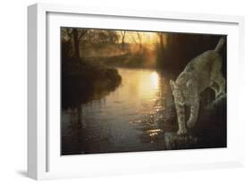 Misty Water Morn-Gordon Semmens-Framed Giclee Print