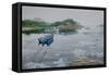 Misty Waters-Bruce Dumas-Framed Stretched Canvas