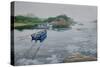 Misty Waters-Bruce Dumas-Stretched Canvas