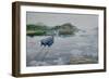 Misty Waters-Bruce Dumas-Framed Giclee Print