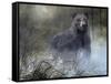 Misty Wild III-B. Lynnsy-Framed Stretched Canvas