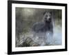 Misty Wild III-B. Lynnsy-Framed Art Print