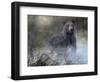 Misty Wild III-B. Lynnsy-Framed Art Print