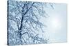 Misty Winter Picture-ELEN-Stretched Canvas