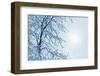 Misty Winter Picture-ELEN-Framed Photographic Print