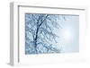 Misty Winter Picture-ELEN-Framed Photographic Print