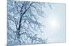 Misty Winter Picture-ELEN-Mounted Photographic Print