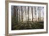 Misty Wood in Winter, Stow-On-The-Wold, Gloucestershire, Cotswolds, England, United Kingdom, Europe-Stuart Black-Framed Photographic Print