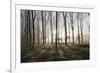 Misty Wood in Winter, Stow-On-The-Wold, Gloucestershire, Cotswolds, England, United Kingdom, Europe-Stuart Black-Framed Photographic Print