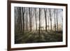 Misty Wood in Winter, Stow-On-The-Wold, Gloucestershire, Cotswolds, England, United Kingdom, Europe-Stuart Black-Framed Photographic Print