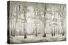 Misty Woodland Glow-Michael Marcon-Stretched Canvas