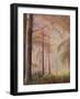 Misty Woods-Margo Starkey-Framed Giclee Print