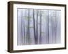 Misty-michel Manzoni-Framed Photographic Print