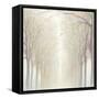 Misty-Julia Purinton-Framed Stretched Canvas