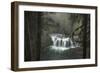 Misty-Danny Head-Framed Photographic Print