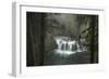 Misty-Danny Head-Framed Photographic Print