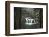 Misty-Danny Head-Framed Photographic Print