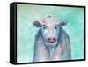 Misunderstood Cow-Doris Charest-Framed Stretched Canvas