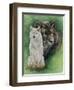 Misunderstood-Barbara Keith-Framed Premium Giclee Print